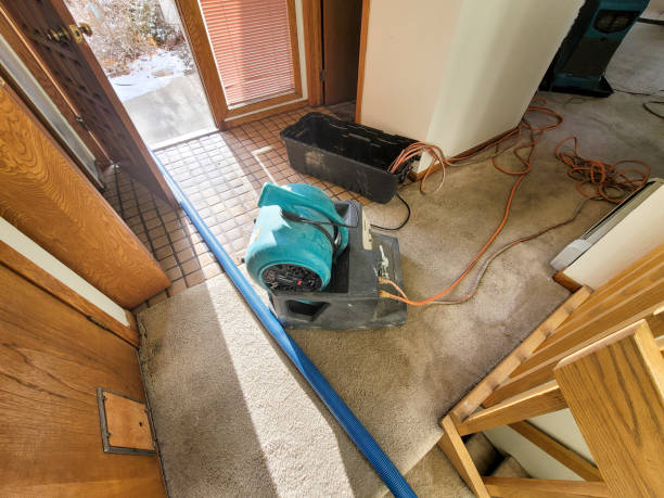 Best 24-hour water damage restoration  in West, TX