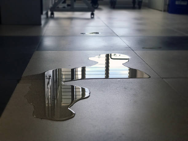 Best Water damage repair service  in West, TX