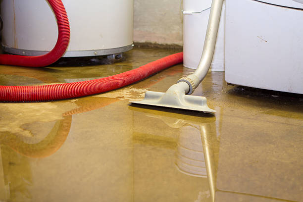Best Carpet water damage restoration  in West, TX