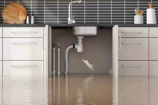 Best Water damage cleanup near me  in West, TX